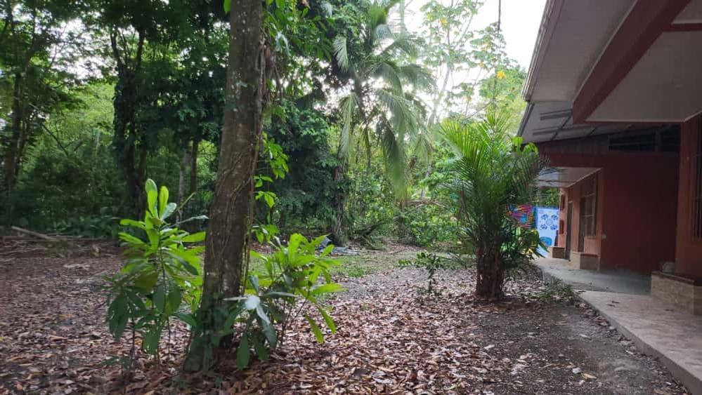 Hostel Manuel Antonio Park Jungle 外观 照片